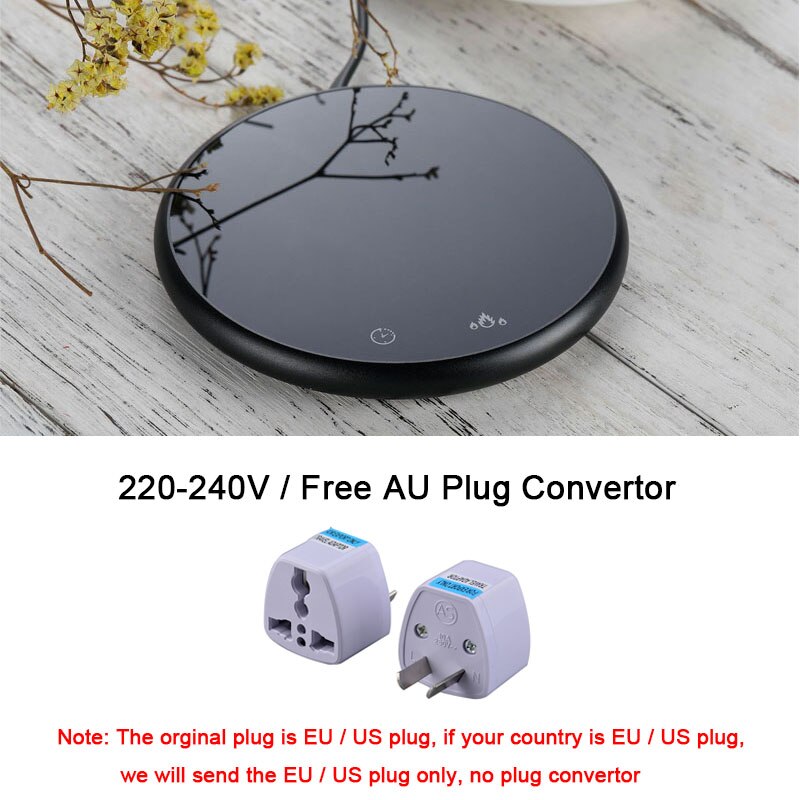 AU Plug Convertor